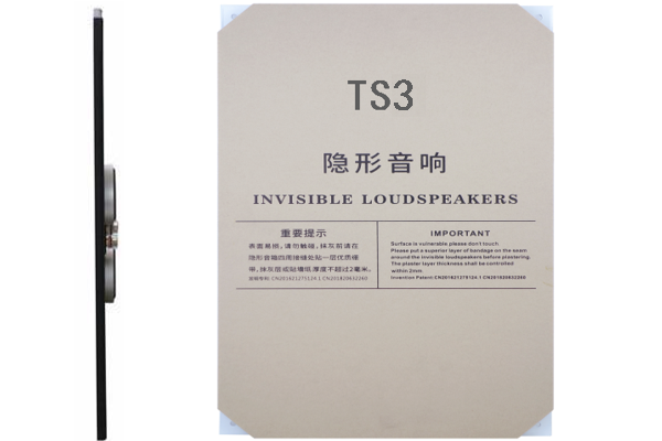 超薄平闆天花隐形音箱TS3